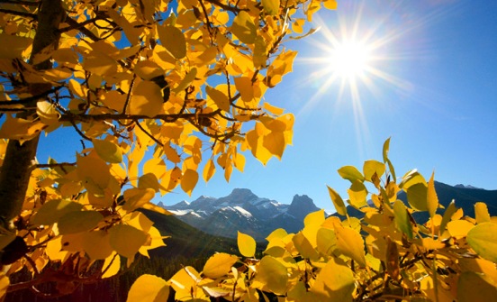 Autumn leaves with mountain